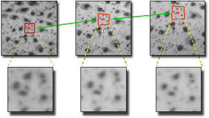 Correlated Solutions